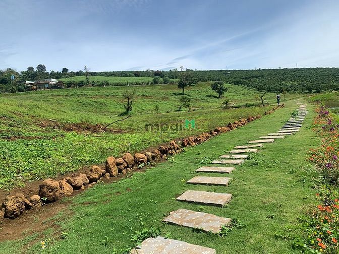 Hình ảnh Đất nền dự án kiwuki ngay cao tốc Liên Khương