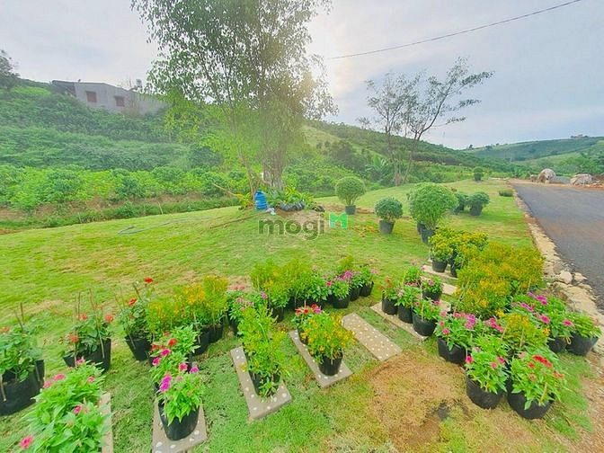 Hình ảnh Đất nền dự án kiwuki ngay cao tốc Liên Khương