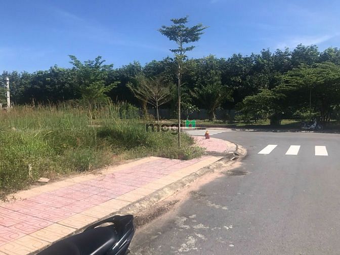 Hình ảnh 231m2 Đất thổ cư SHR ngay Chợ và ỦY BAN Dầu Tiếng giá 975tr