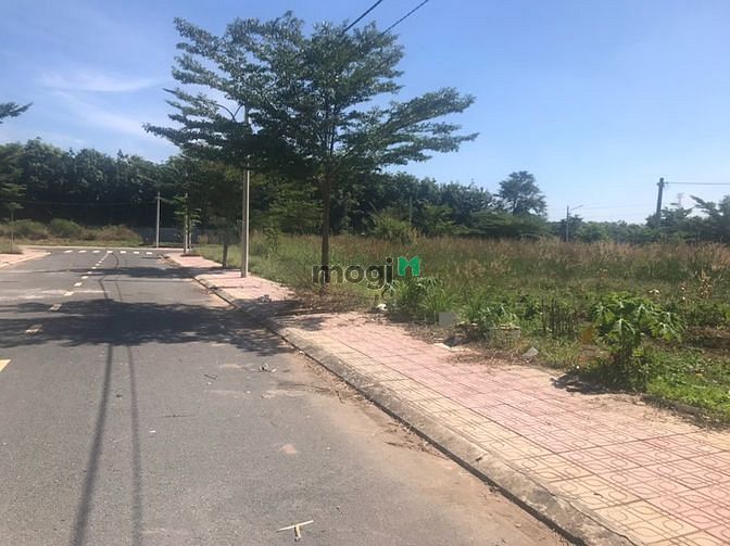 Hình ảnh 231m2 Đất thổ cư SHR ngay Chợ và ỦY BAN Dầu Tiếng giá 975tr