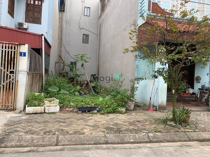 Hình ảnh Bán trong tuần 80m2 đất đẹp, đường 11m Khu TĐC Kiêu Kỵ.