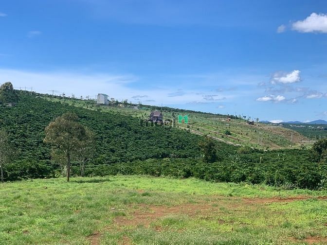 Hình ảnh Đất nền dự án KIWUKI VILLAGE 2
