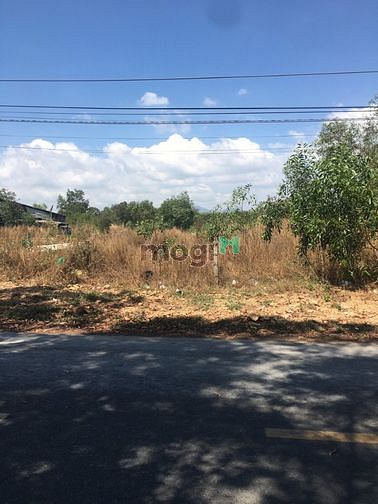 Hình ảnh 3832m2 đất siêu phẩm mặt tiền đường Lê Văn Tám Lagi - Bình Thuận