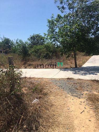 Hình ảnh 3832m2 đất siêu phẩm mặt tiền đường Lê Văn Tám Lagi - Bình Thuận