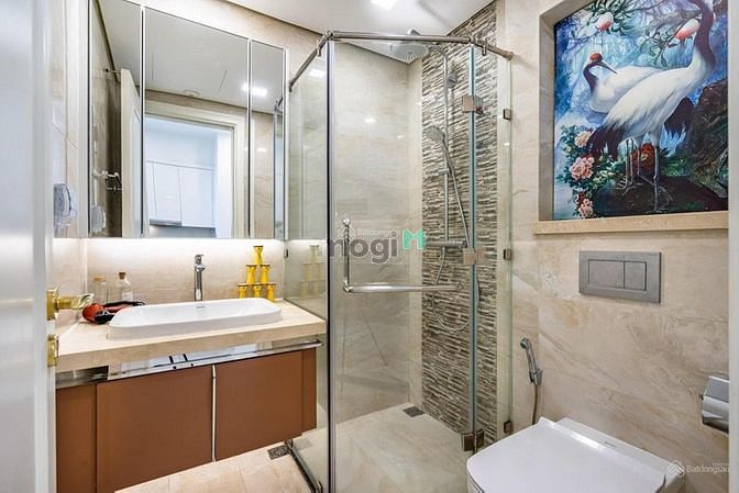 Hình ảnh Cần cho thuê gấp căn 2PN Richstar Hòa Bình - Tô Hiệu, giá 9.5 tr/tháng