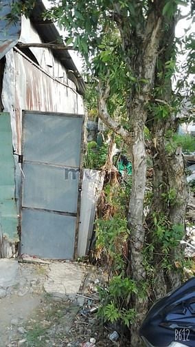 Hình ảnh Bán Đất thổ cư 125m2 xã Bình Khánh Cần Giờ