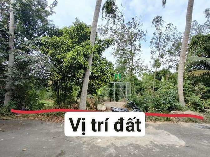 Hình ảnh Bán lô đất dt 1123m(26×40)150m tc An Sơn 05 Thuận An, gần cảng An Sơn