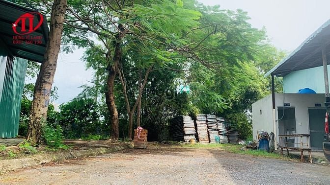 Hình ảnh BDS HVL Cần cho thuê KHO XƯỞNG phường Phước Long B, TP Thủ Đức
