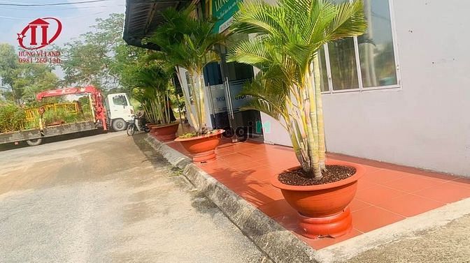 Hình ảnh BDS HVL Cần cho thuê KHO XƯỞNG phường Phước Long B, TP Thủ Đức