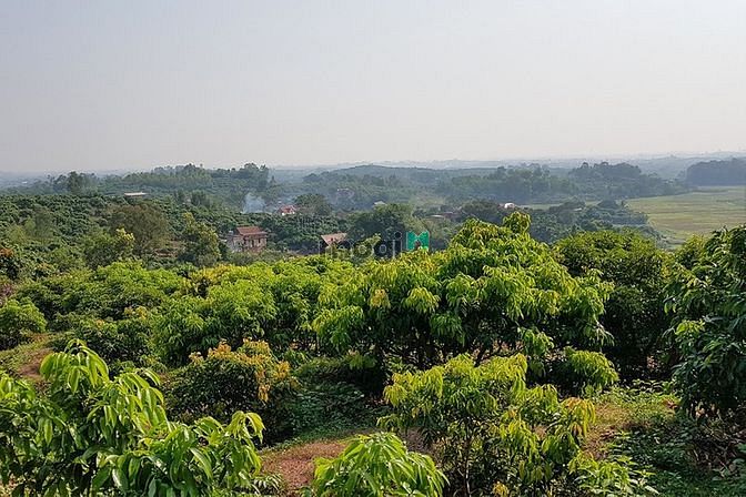 Hình ảnh Bán nhà sân vườn nhìn hồ tại Bắc Giang