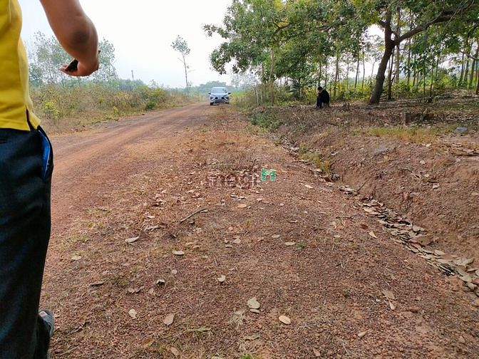 Hình ảnh 2 lô đất sào sát kcn lớn giá cực rẻ Trang MB66.COM Chính Thức - MB 66 Uy Tín