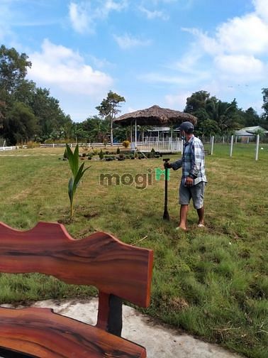 Hình ảnh Cần bán đất vườn Củ Chi từ 500m2