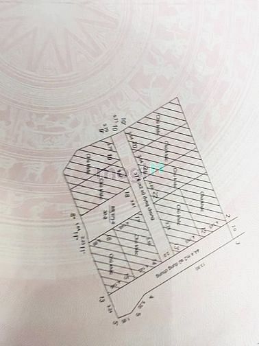 Hình ảnh Cần bán Gấp mảnh đất Phú gia 31m2, mt 4m, vuông vắn, SĐCC