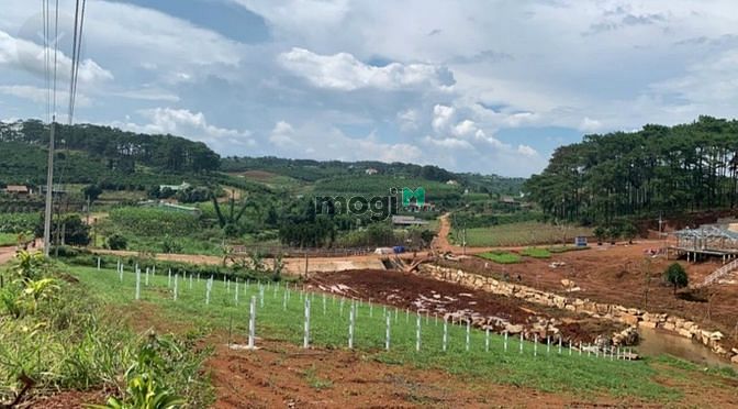 Hình ảnh Dự án đất nền kiwuki village 2