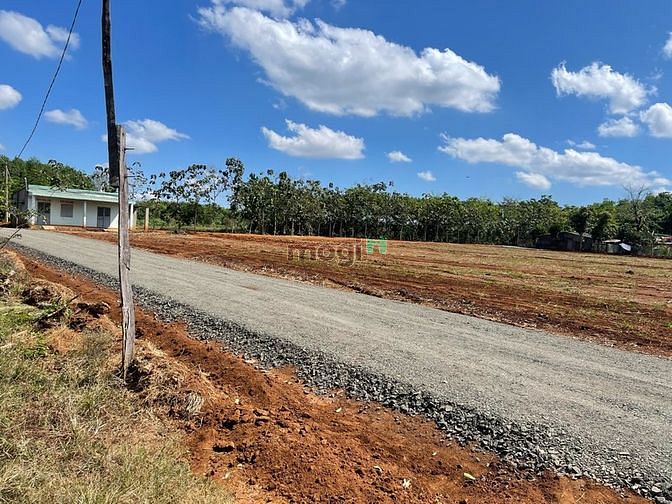 Hình ảnh Đất sào 1000m2 ngay Kcn Ledana Lộc Ninh  Bình Phước