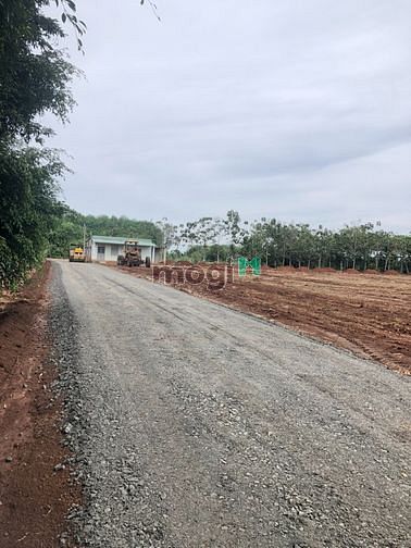 Hình ảnh Bán đất thổ cư Lộc Ninh Bình Phước