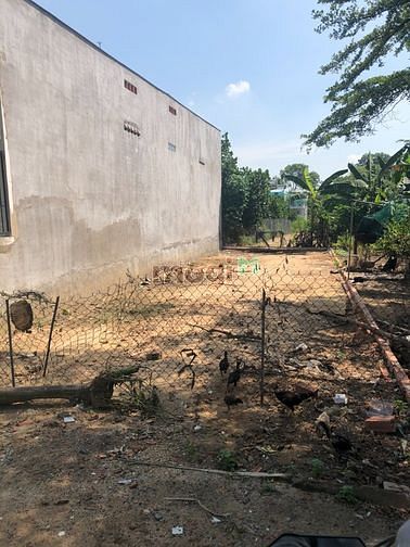 Hình ảnh Bán 100m2 đất sổ riêng sát Quốc Lộ 13 dân đông kín