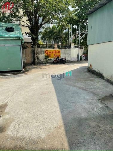 Hình ảnh BDS Hùng Vĩ Land Cho Thuê Kho 650m2 - Phường An Phú -  Q2.