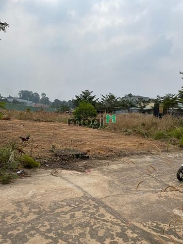 Hình ảnh Bán đất ở,mt dường 7m ở khu phố 4 tân định ,sổ hồng riêng.