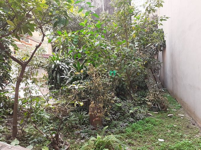 Hình ảnh BÁN ĐẤT Lô góc, Đội Cấn, B.Đình, 100m2, sát phố, chia lô, biệt thự đep