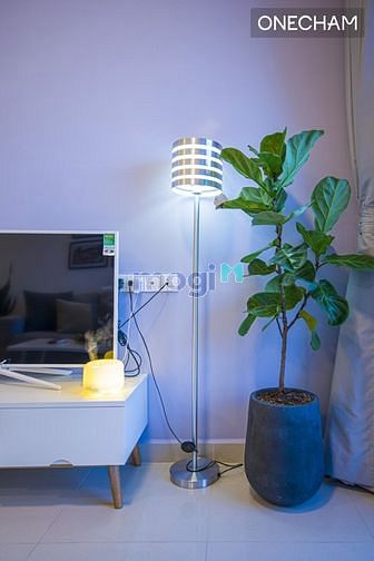 Hình ảnh Cho thuê cc cao cấp giá siêu rẻ