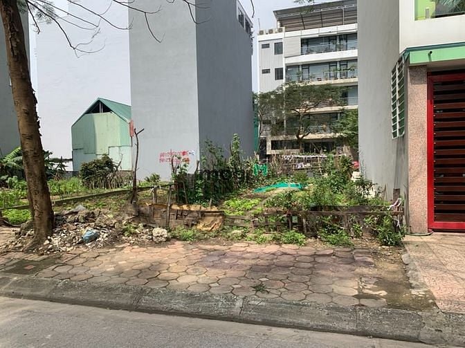 Hình ảnh Bán gấp đất mặt đường Cổ Linh gần Aeonmall, 111m mặt tiền 6,53m kinh d
