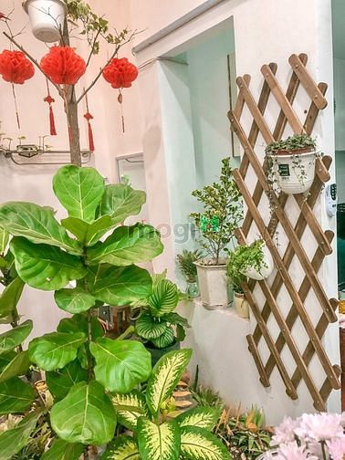 Hình ảnh Phòng Full Nội Thất Cao Cấp, Giờ Giấc Tự Do, Ngay Dh Văn Lang CS3
