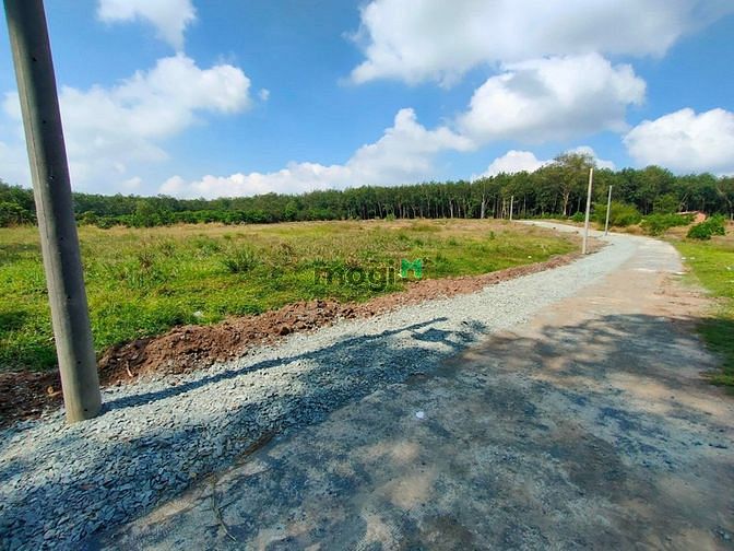Hình ảnh Đất Chơn Thành - Bình Phước sổ sẵn, SHR