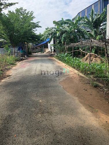 Hình ảnh Gia đình về quê định cư cần bán lô đất sổ riêng tại Phường Thới Hòa gi