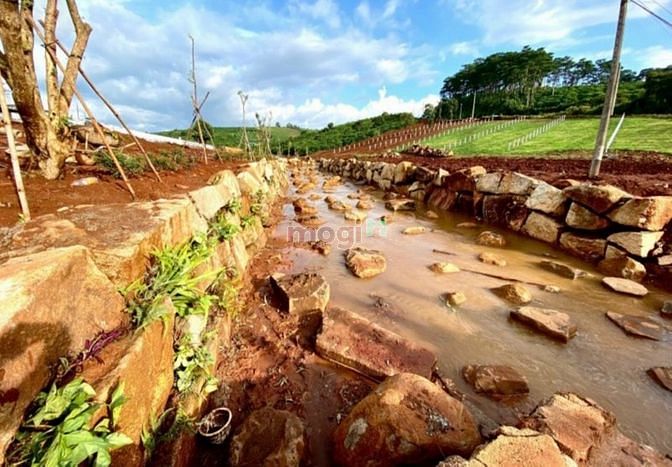 Hình ảnh dự án đất nền kiwuki village 2