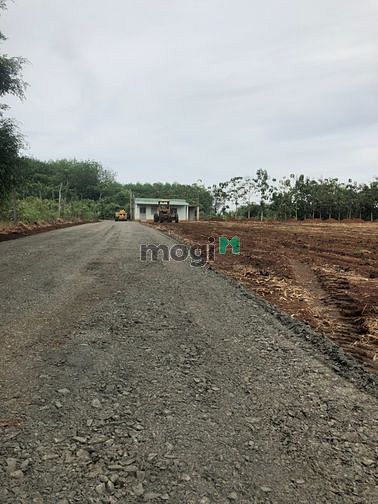 Hình ảnh Thổ cư sát QL 13 2 mặt tiền giá rẻ Bình Phước