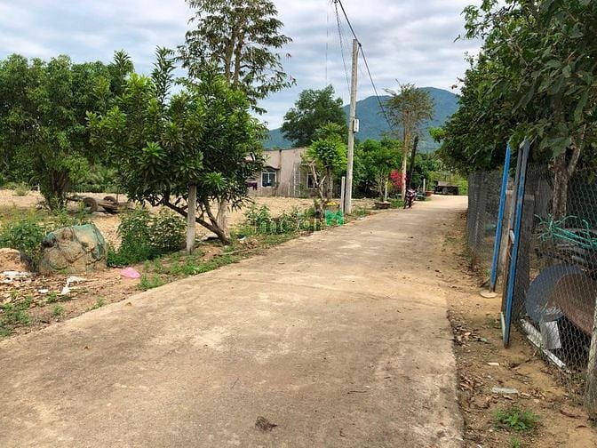 Hình ảnh Bán Nhanh Lô Đất Diên Đồng, Giá Mb6623 phiên bản mới nhất