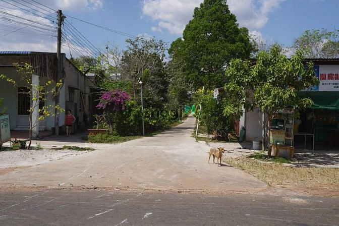 Hình ảnh Bán 2800m2 full thổ cư nở hậu, chia làm 9 sổ, 470 triệu/sổ