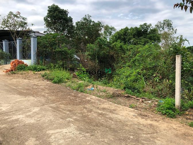 Hình ảnh Bán Nhanh Lô Đất Diên Đồng, Giá Mb6623 phiên bản mới nhất