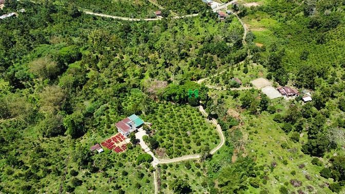 Hình ảnh Đất Có Suối Gần Linh Quy Pháp Ấn