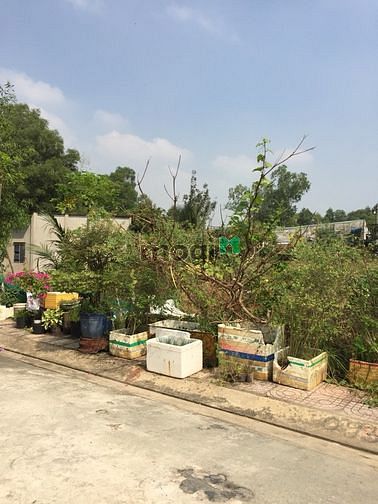 Hình ảnh Đất Đường 197, Hoàng Hữu Nam, Tân Phú, TP.Thủ Đức. 4,5t – 91m.