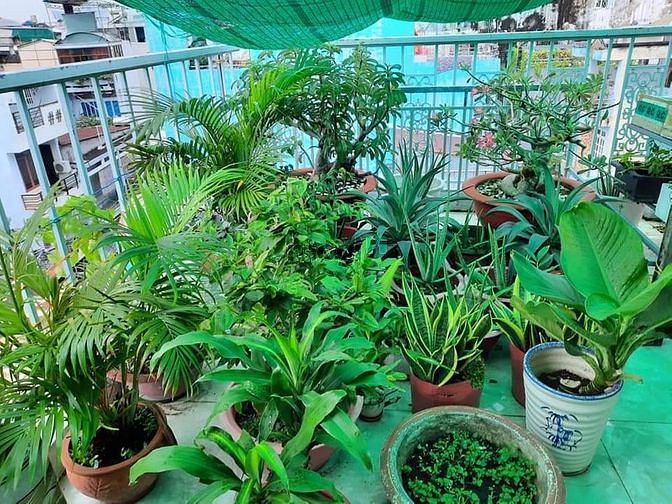 Hình ảnh Bán nhà An Bình phường 5 Quận 5