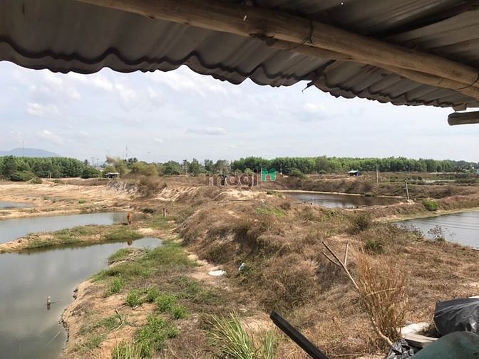 Hình ảnh Đất sát biển 600 m. Tân thắng . sau lưng chợ giá 14 tỷ