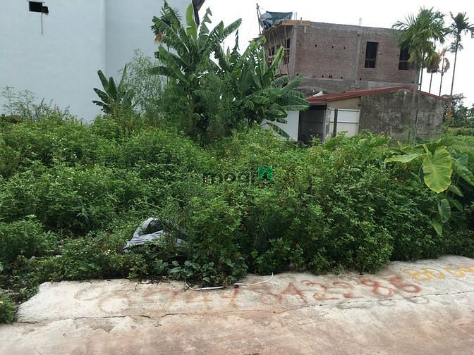 Hình ảnh Chính chủ bán 130m2 đất tại an đồng
