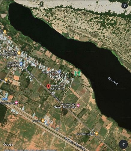 Hình ảnh Bán 1935,7m2 cây lâu năm - View bàu