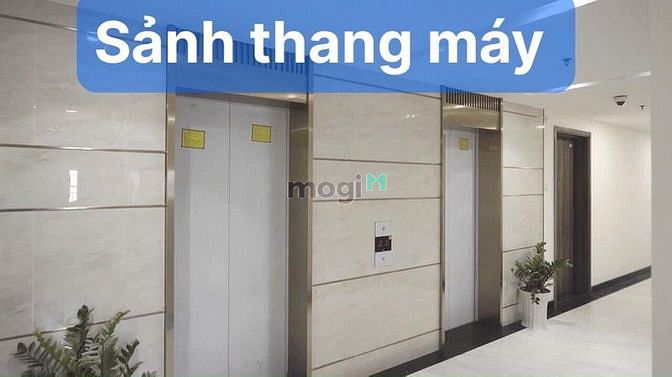 Hình ảnh Cần Cho Thuê Căn Hộ Sài Gòn Asiana