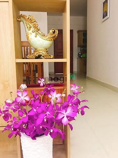Hình ảnh Bán Trang Chủ MB66.COM / Đăng Ký Tặng 66K chung cư giá rẻ biên hòa