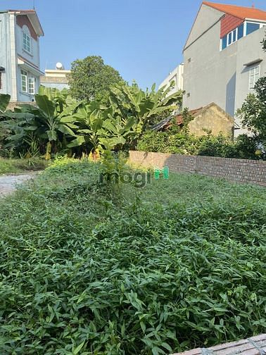 Hình ảnh Chỉ 20triệu/m2, CC bán gấp lô đất 110m2 MT 6.2m đẹp, thoáng, gần QL 17