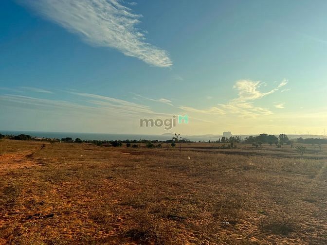 Hình ảnh Bán 2000m2 đất CLN mặt tiền suối, view biển