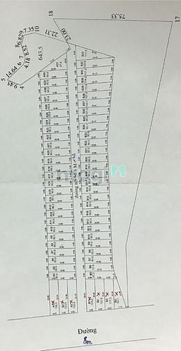 Hình ảnh Chỉ 420tr sở hữu đất đẹp làng hoa Phú Quốc