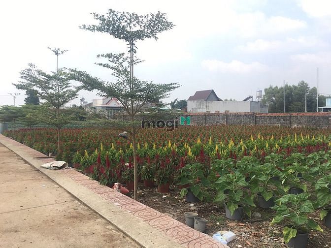 Hình ảnh Bán đất nền chính chủ sổ hồng riêng