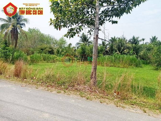 Hình ảnh Bán đất đường võ thị hốt - 503m2 - 15x36 - xã nhuận đức - củ chi