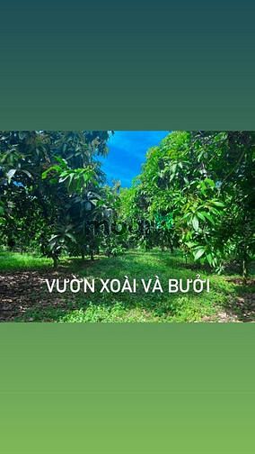 Hình ảnh Đất Gia Canh Định quán , Đồng Nai