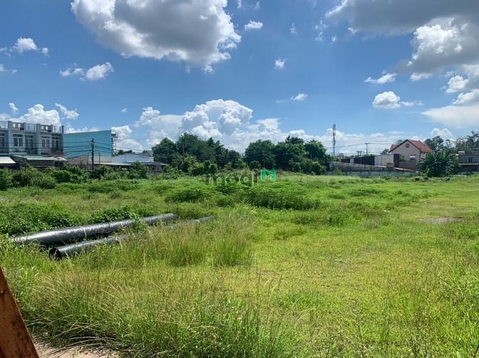 Hình ảnh Bán 8000m2 đất xã Tân Hiệp huyện Hóc Môn
