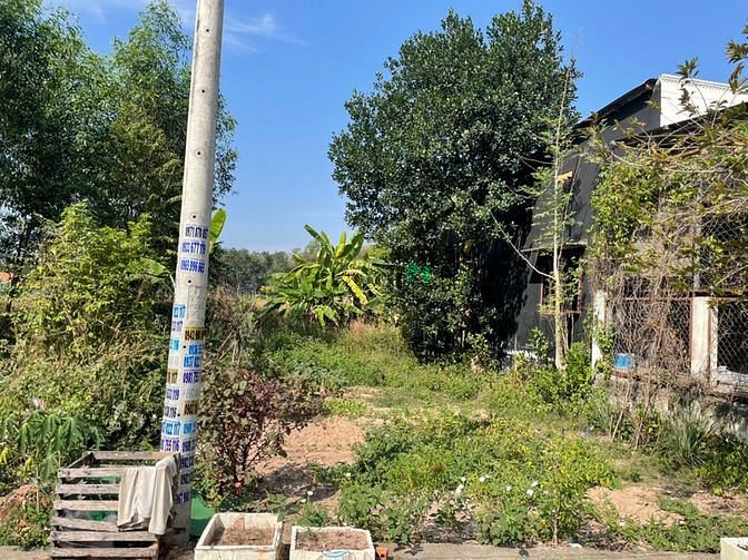 Hình ảnh Kẹt vốn KD gia đình tôi cần bán gấp 3 nền đất gần TP. Thủ Dầu Một